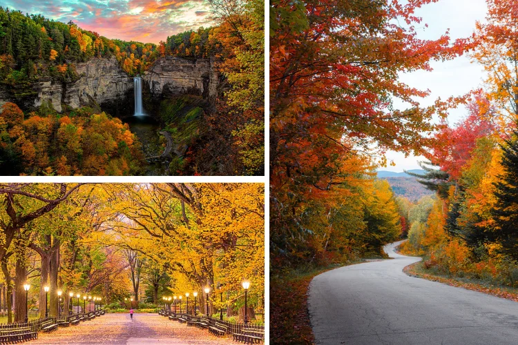 8 Best Places to Visit in the U.S. During Autumn